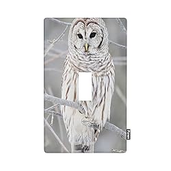 Pznen Bird Light Switch Cover Cute White Owl Perch
