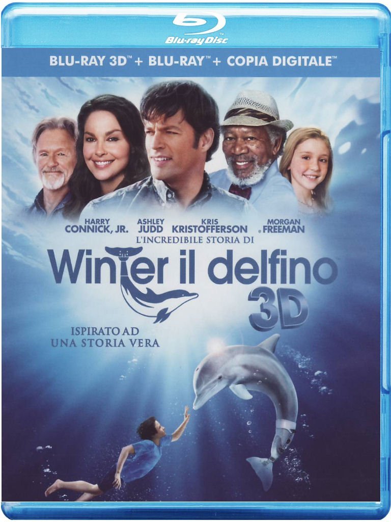 L Incredibile Storia Di Winter Il Delfino