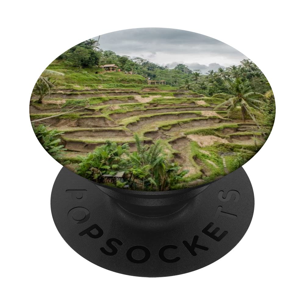 Rice Terraces Nature PopSockets Swappable PopGrip