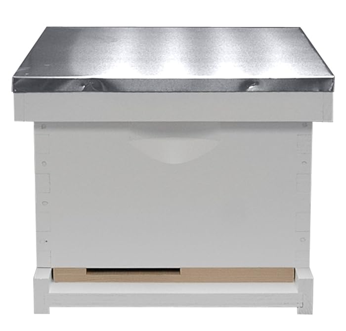 Complete Bee Hive Kit, Painted, Assembled, 10-Frame, Made In The USA