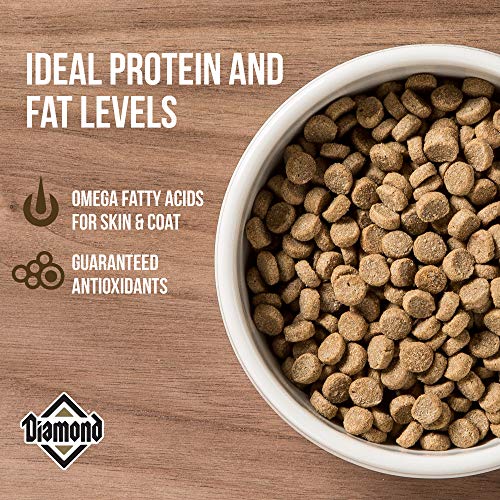 Diamond Premium Recipe Maintenance Complete And Balanced Dry Cat Food For Moderately Active Cats