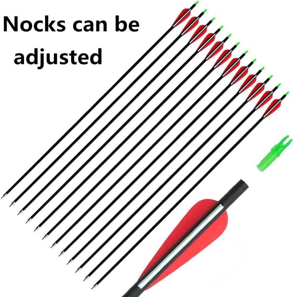 GPP Carbon 30-Inch Arrows with Field Points Replaceable Tips (12 Pack) for Recuve Bow & Compound Bow : Sports & Outdoors
