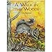 A Walk in the Woods (Dover Nature Coloring Book) primary