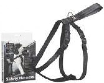 safe n sound harness