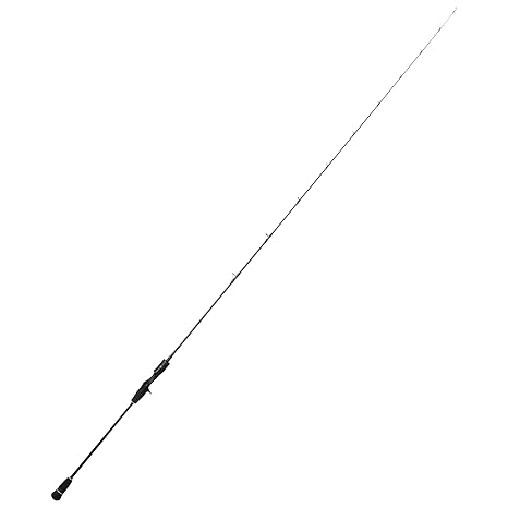 タチウオジギングロッドの選び方は おすすめのロッド18選 Fish Master フィッシュ マスター