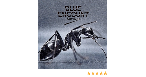 Survivor By Blue Encount On Amazon Music Amazon Com