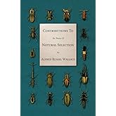 Contributions To The Theory Of Natural Selection