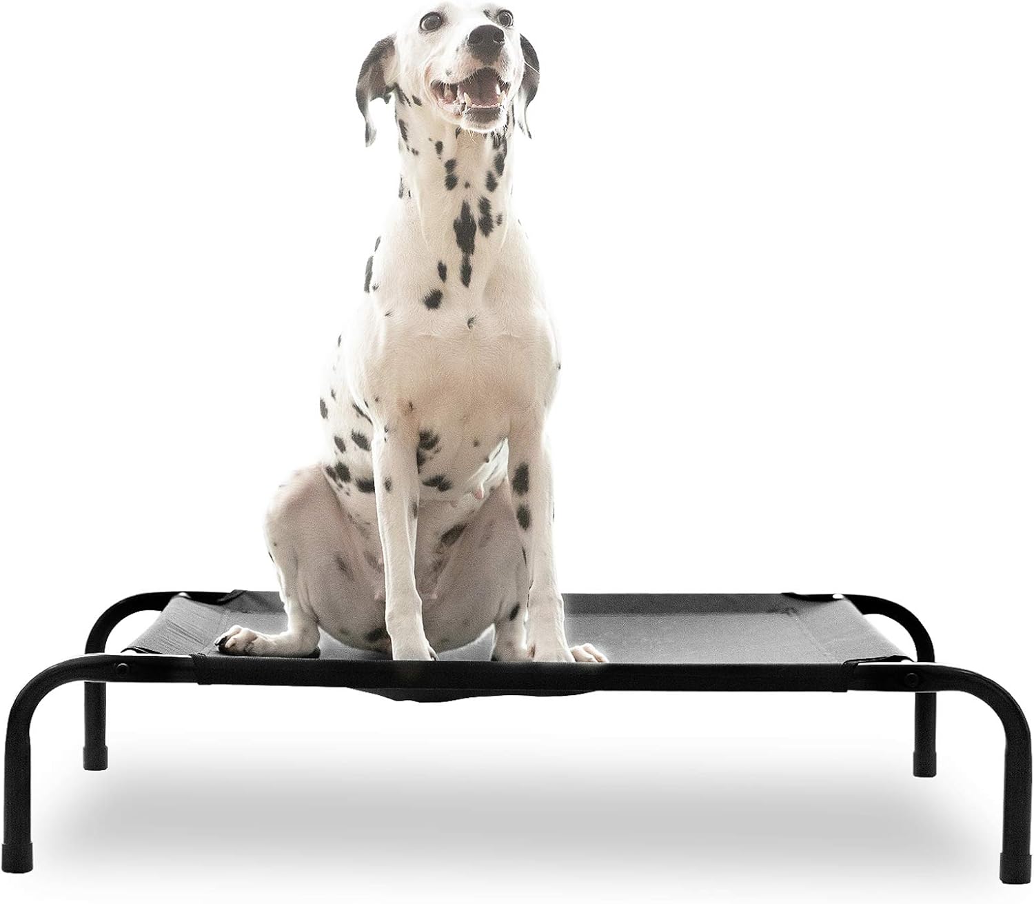 HACHIKITTY Elevated Dog Bed Outdoor Dog Cots, Raised Dog
