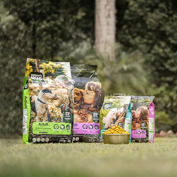 NATURE’S HUG VEGAN DRY DOG FOOD FOR PUPPIES & SMALL BREEDS, 5 LB. BAG, CHICKEN FLAVOR PLANT-BASED PROTEIN KIBBLE, GRAIN-FREE, ALLERGEN-FREE, COMPLETE PROTEIN & BALANCED NUTRITION