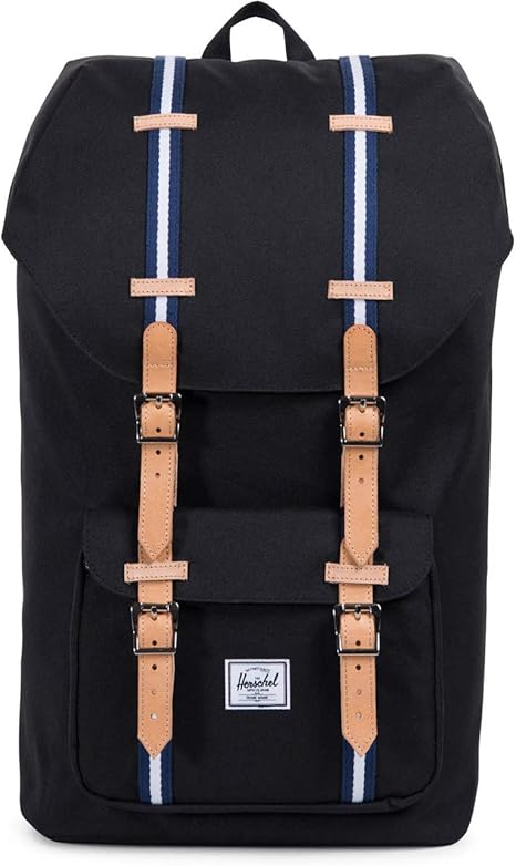 herschel style backpack