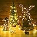 String Lights, DecorNova 2 Set of 19.7ft 60 LEDs IP44 Waterproof Super Bright Copper Wire Rope Lights with Timer for Home Bedroom Party Tree, 3AA Battery Case, Warm White