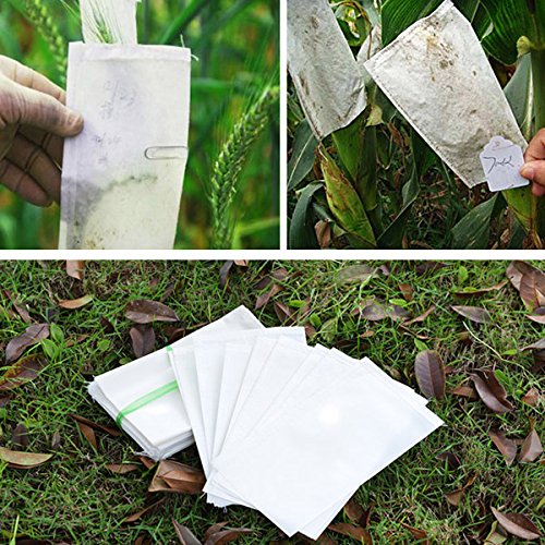 100pcs Wheat Corn Hybridization Pollination Parchment Bags Plant Pollen