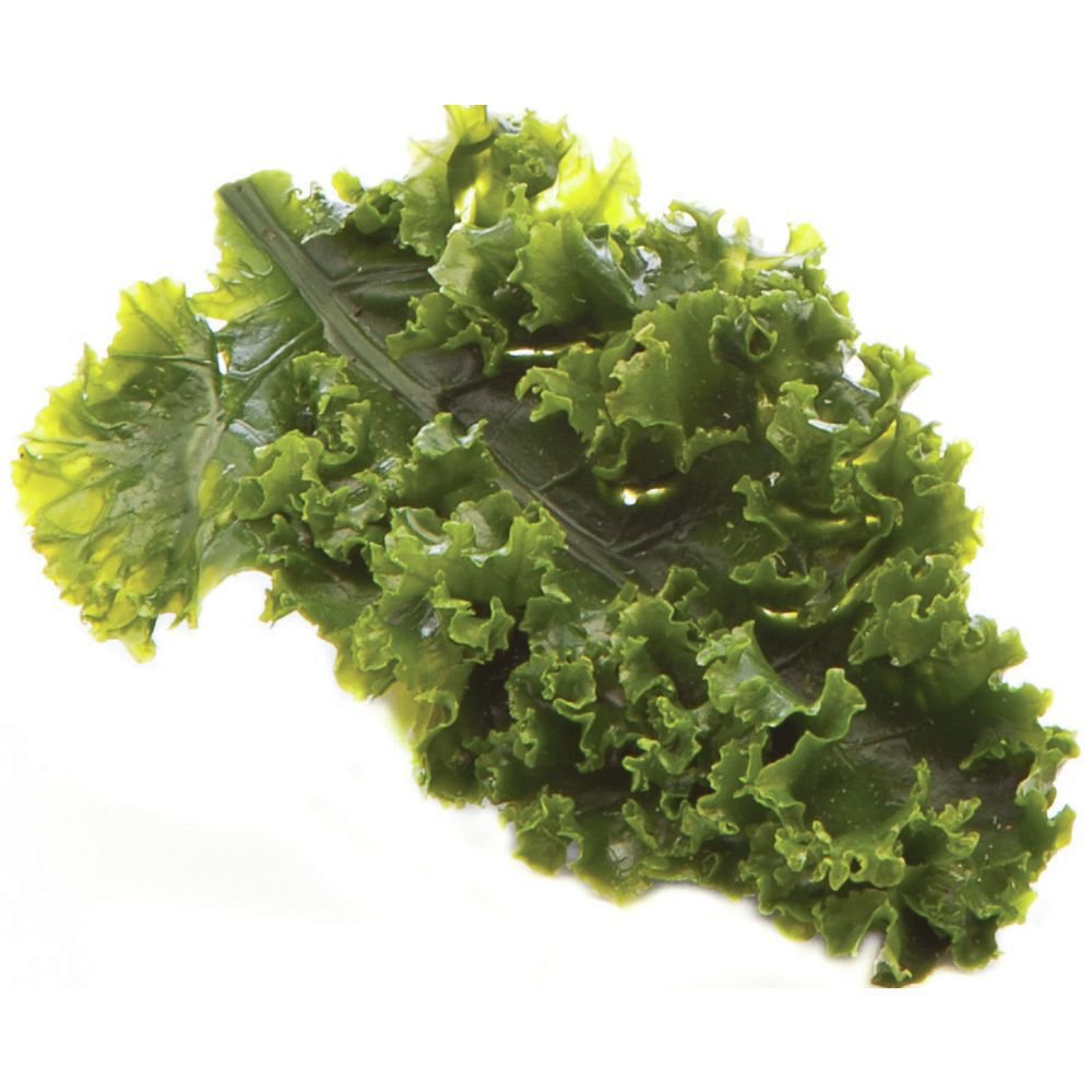 Artificial Kale Leaf Garnishing Green 6"L Buy Online in United Arab