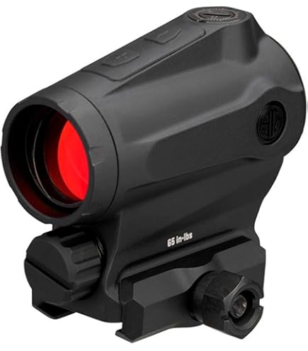 Amazon.com : SIG SAUER Romeo5 1x20mm Tread Closed Red Dot Sight