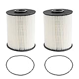 5.9 Cummins Fuel Filter (2Pcs) Fits for 2000-2009