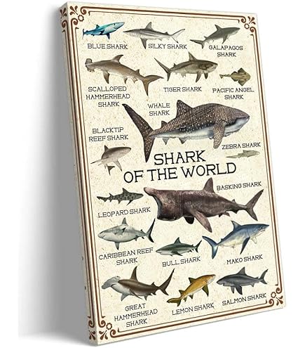 Amazon.com: EuroGraphics Dangerous Sharks Poster, 36 x 24 in Beige