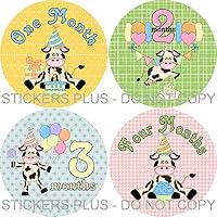 Baby Girl Month Stickers Monthly Baby Milestone Stickers Farm Cow Birthday Present Balloon