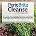 Nature's Answer PerioCleanse Oral Rinse and Oral Cleansing Concentrate | Cool Mint Flavor | Fluoride-Free, Alcohol Free, No Artificial Preservatives, Colors, Dyes, or Sweeteners 4oz