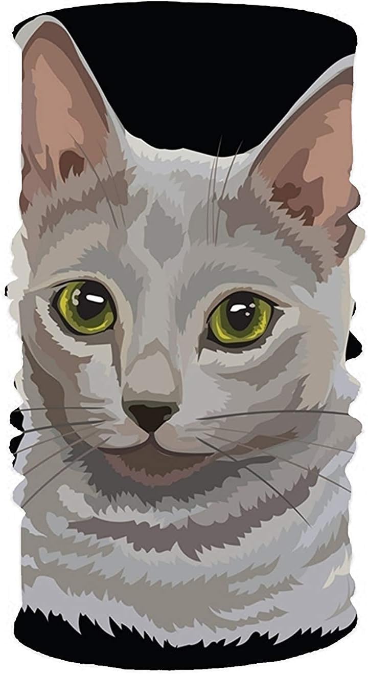 Rghkjlp Russian Cat 16-in-1 Magic Scarf,Face Mask,Thin Ski Mask,Balaclava Bandana Unisex16