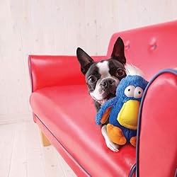 KONG - DoDo Bird - Plush Dog Toy with Extra Loud
