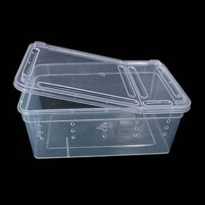 Jiamins Caja de plástico transparente con tapa y terrario de ...