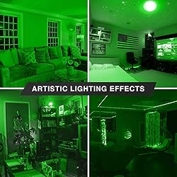 4 Pack BlueX LED PAR20 Flood Green Light Bulb - 8W