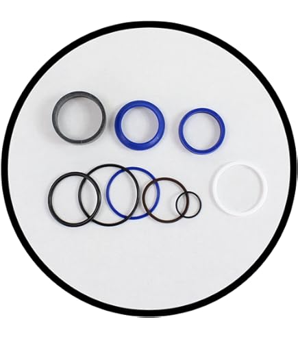 Amazon.com: CARRARO,CAR049103, SEAL KIT FOR STEERING