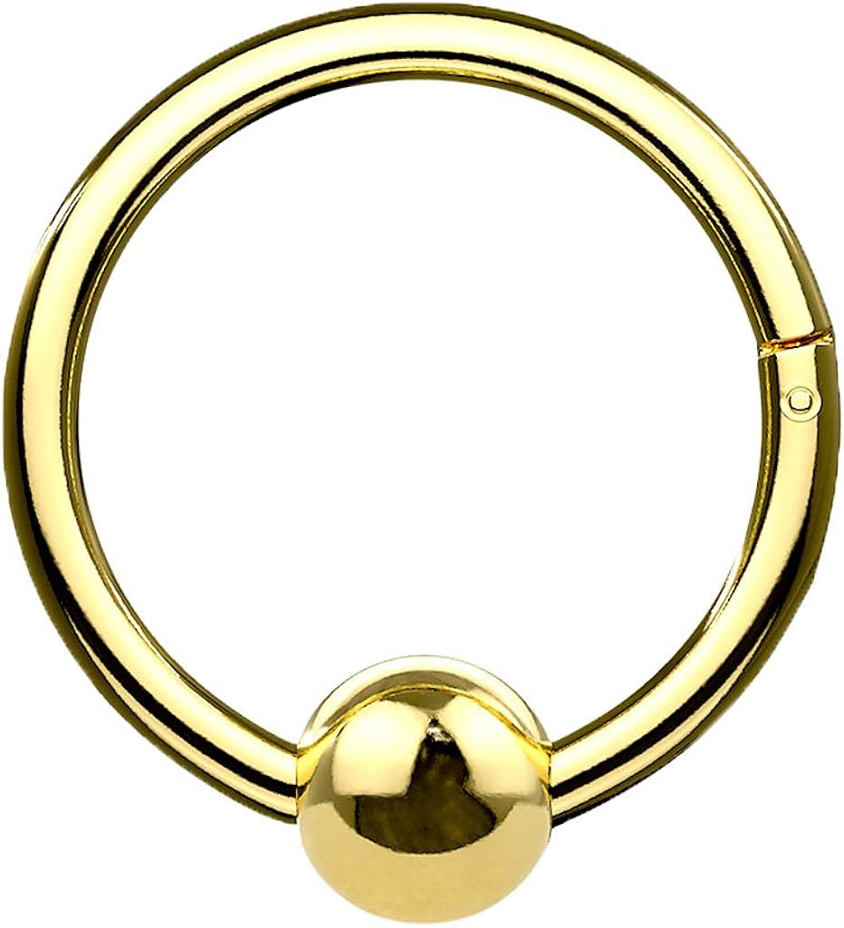 Piercing Ring Segmentring Clicker Scharnier Septum Tragus Helix Ohr