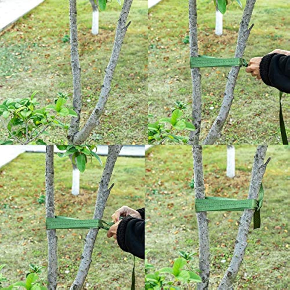 Biubee 2 Rolls 108 Feet Long Inch Wide Green Tree Tie