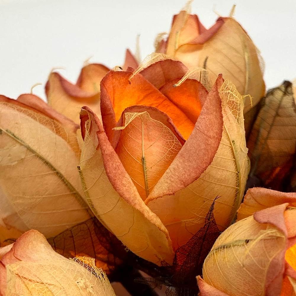 Blaze On Chelsea Rose Fairy Lights (Glowing Peach), 20 Warm White LED Lights, Handcrafted Roses Created from Mulberry Paper - Image 3