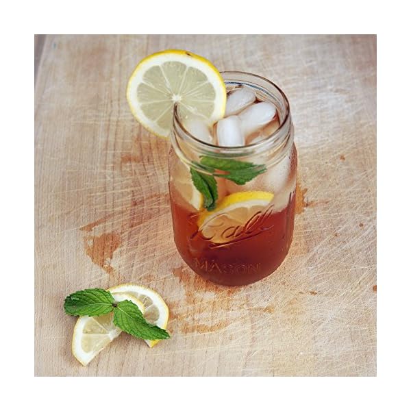 Mr. Coffee TM75 Iced Tea Maker, 1 EA, Blue, TM1RB The Home Kitchen Store