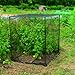 Gardman 7660 Fruit Cage Small, 3' 3'' L x 3'11'' W x 3'3'' H