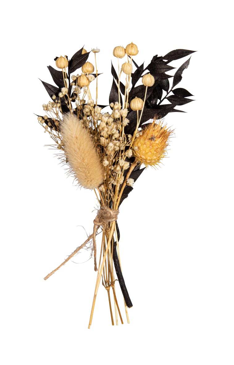 Rayher Dried Flowers and Plants for Crafts, Dried Flower Bouquet for Crafting and Home Décor, Dried Natural Flowers with Stem, black, 18-20cm, 85491576