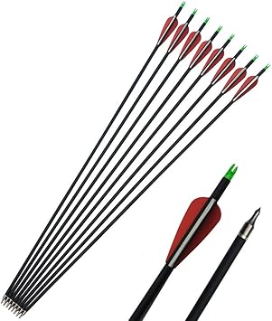 Amazon Co Jp Sharrow 31インチ カーボン矢 カーボン完成矢 狩猟矢 炭素矢 500スパイン アーチェリー矢 リカーブボウ コンパウンドボウに適用 12本入 スポーツ アウトドア