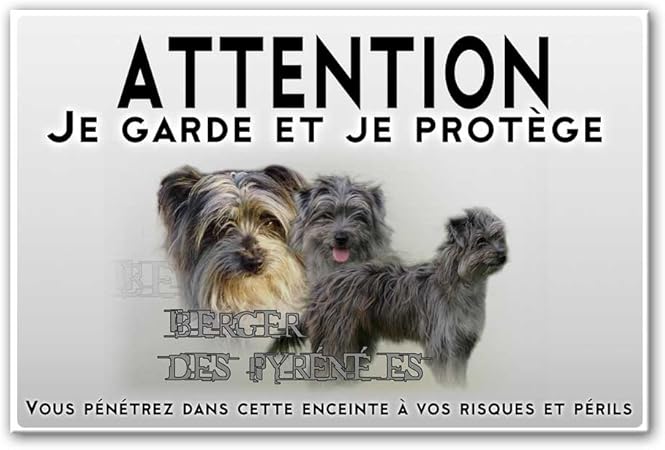 Pets Easy Plaque Attention Au Chien Berger Des Pyrénées Arlequin