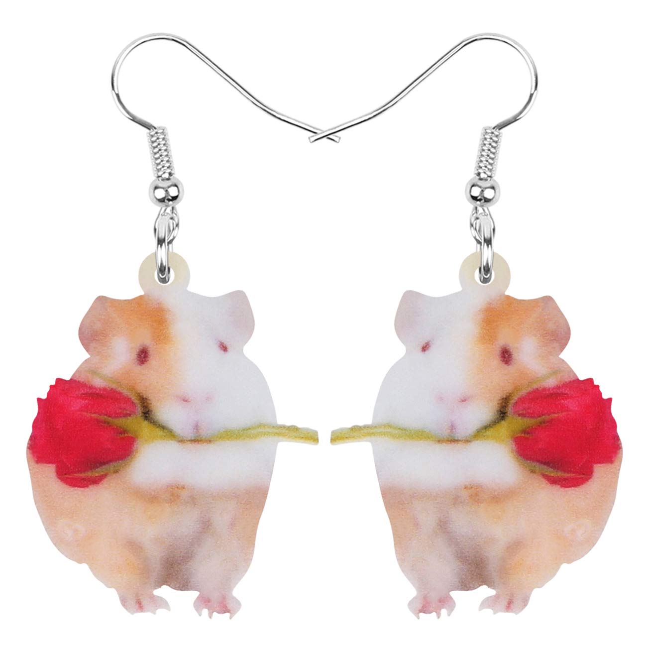 NEWEI Acrylic Guinea Pig Hamster Earrings Dangle Drop Cute Animal Jewelry For Women Girl Charm Gift (Multicolor)