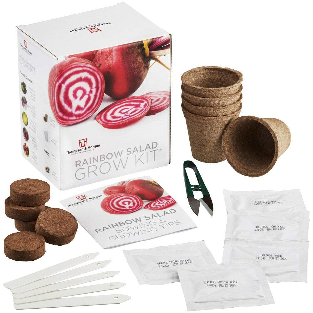 Rainbow Salad Seed Growing Kit Grow Your Own Five Colourful Varieties of Salad to Grow; Lettuce, Spring Onion, Radish, Beetroot & Cucumber Seeds, A Perfect Gardening Gift by Thompson & Morgan