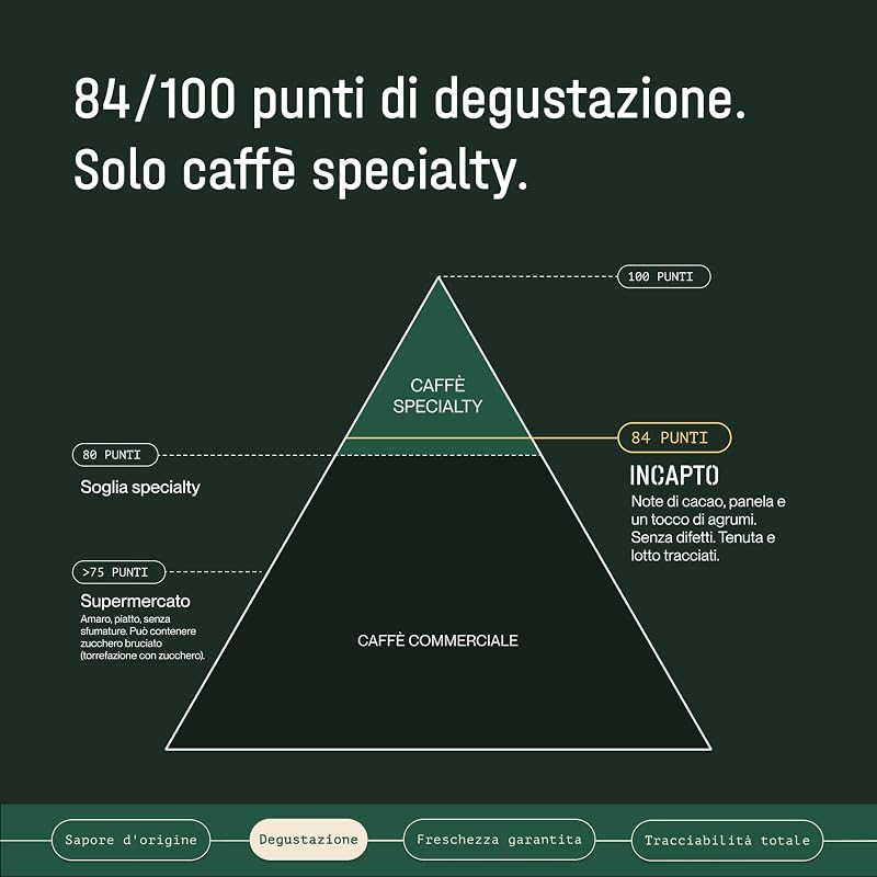Caffè in Grani di Specialità 1kg | Origine Colombia | 100% Arabica | +80 punti SCA | Tostatura Naturale e Artigianale | Caffè Grani Naturale | Finca Huila, Cadifihuila