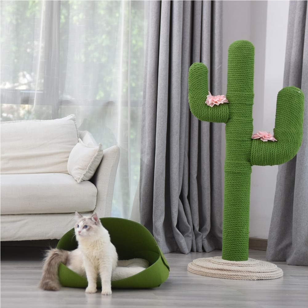 Cactus Chat Griffoir Avec Corde En Sisal Chat Griffe Griffoir Cactus Pour Chats Chatons Jouets Interactifs Pour Chat Peluche Sisal Griffe Pole Meubles Pour Chat Animalerie Activite Arbre Amazon Fr Sports Et Loisirs Cactus Chat Griffoir Avec Corde En Sisal Chat Griffe Griffoir Cactus Pour Chats Chatons Jouets Interactifs Pour Chat Peluche Sisal Griffe Pole Meubles Pour Chat Animalerie Activite Arbre Amazon Fr Sports Et Loisirs