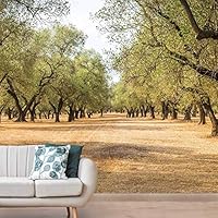 Wall Mural Natural Scenery Removable Self-Adhesive Wallpaper Wall Decoration for Bedroom Living Room - 66x96 inches