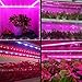 Grow Light Strip 50W 1.64ft, LED Grow Light Bar and Plant Light for Indoor Plants Gardening Hydroponics Greenhouse(5 Pack)