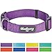 Blueberry Pet Essentials X-Small Dog Collar in Dark Orchid | Adjustable & Eco-Friendly Durable Nylon Strap | Classic Collar for X-Small Dogs, Boy & Girl Pets