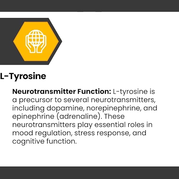 COGNISYNC NOOTROPIC BRAIN HEALTH SUPPLEMENT 60CT, 12 POWERFUL INGREDIENTS, LION’S MANE, ALPHA-GPC, COGNITIVE ENHANCEMENT, BRAIN FOG SUPPORT, MEMORY SUPPORT, SMART DRUG ALTERNATIVE