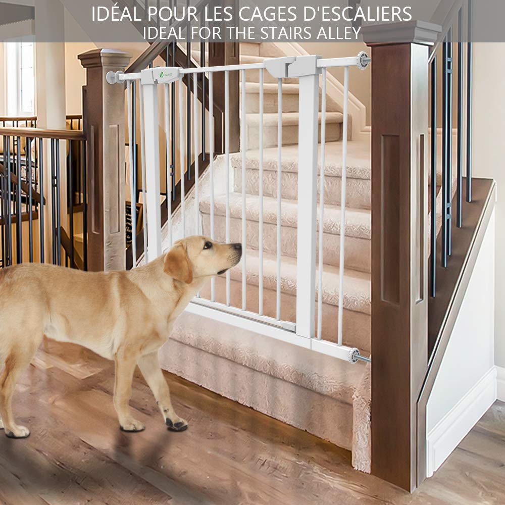 View 3