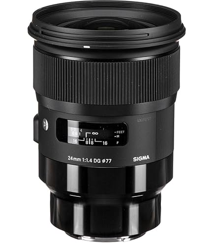 Amazon.com : Sigma 12-24mm f/4 DG HSM Art Lens for Nikon F (205955