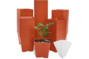 June Fox 100 Pack Red Square Nursery Pots with Drainage Holes 3.3 Inches Flexible Plastic Seedling Pots Square Pots for Plants, Succulent, Flower, with Plant Labels
