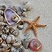 Miniature Fairy Garden Tiny Seashells