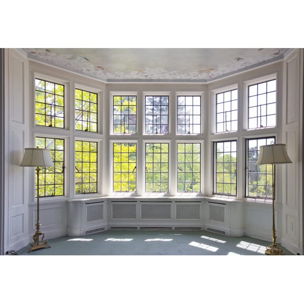 YongFoto 15x10ft Photography Backdrop Interior European Building French Sash Sunshine Nature Autumn Scene Photo Background Backdrops Photography Video Party Newborn Kids Baby Photo Studio Props