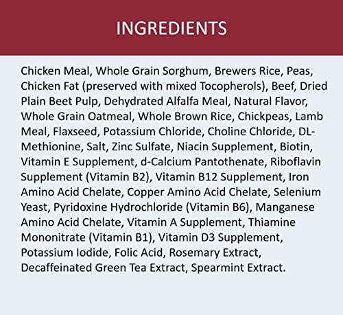 Nutro Max Beef Dog Food - Image 6
