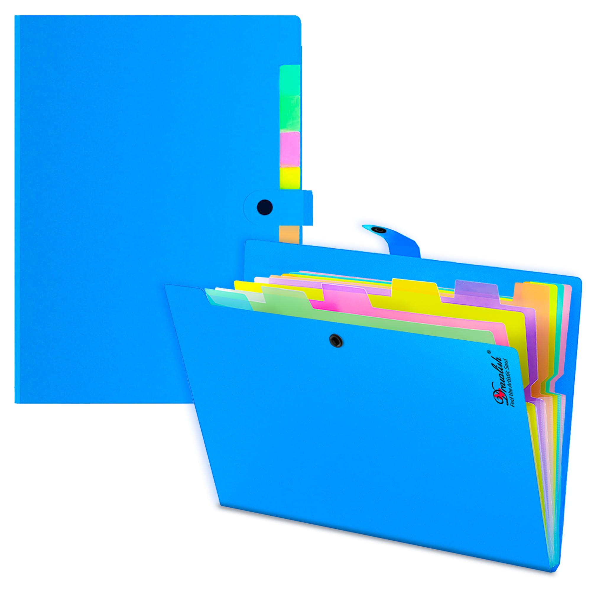 Expanding File Organiser 2 Pcs with 10 Colorful Poly Pockets Each - Document Organiser A4 Folder - Sky Blue Accordion File Folder with Tabs for Office, Business Trip, School & Home